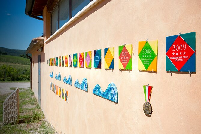 1-Hour Experience with Brunello. Visit to the Vineyard and Cellar - Sangiovese BIO vineyards and the art stops you didn’t plan for
