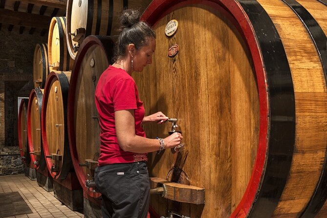 1-Hour Experience with Brunello. Visit to the Vineyard and Cellar - Price and value: is $42.06 for an hour fair?