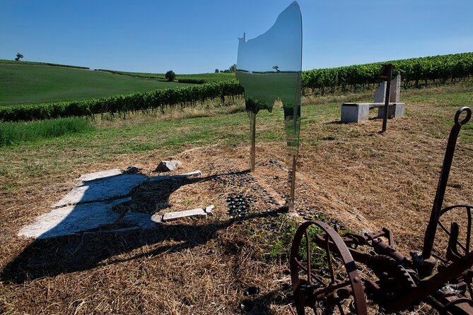 1-Hour Experience with Brunello. Visit to the Vineyard and Cellar - The cellar walk: barrels, tanks, and Montalcino explanations