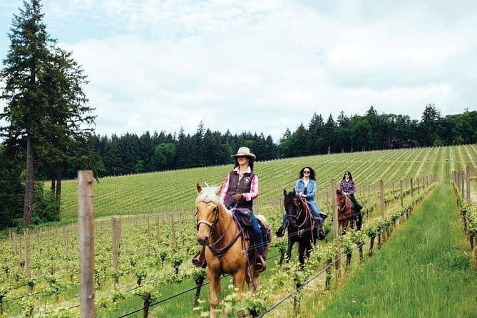 1-Hour Guided Tuscan Wine Tasting in Florence - Price and value: what $83.40 buys you in Florence