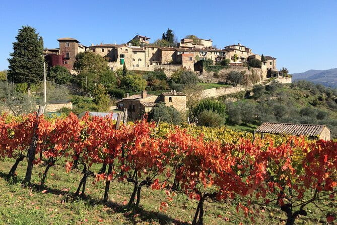 2 wineries Chianti Wine Tasting & Vineyards Walk Private Tour - What makes the two-winery tastings feel worth it