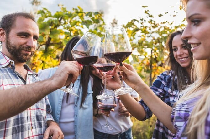 2 wineries Chianti Wine Tasting & Vineyards Walk Private Tour - The scenic vineyards and olive groves: more than background photos