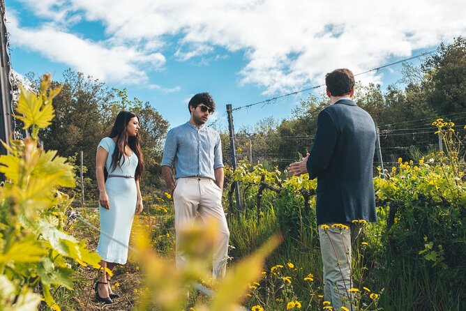 3-day private experience as a winemaker at a wine resort in Tuscany - Your 3-day private winemaker experience: how the time is used