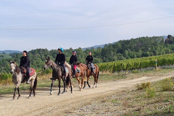 3 Hour Horse Ride to a Castle for Wine Tasting and snack Lunch - Helmet, short basics, and getting paired with the right horse