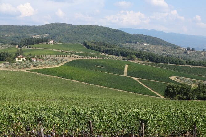 3 Hour Horse Ride to a Castle for Wine Tasting and snack Lunch - The ride back: how the afternoon keeps its pace