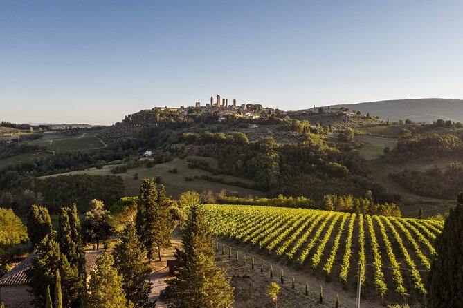 5 Wine Tastings in San Gimignano - San Gimignano Wine Tastings: What the 2 Hours Actually Feels Like
