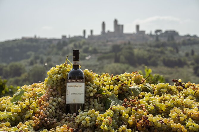 5 Wine Tastings in San Gimignano - Views and the terrace effect: why the setting matters