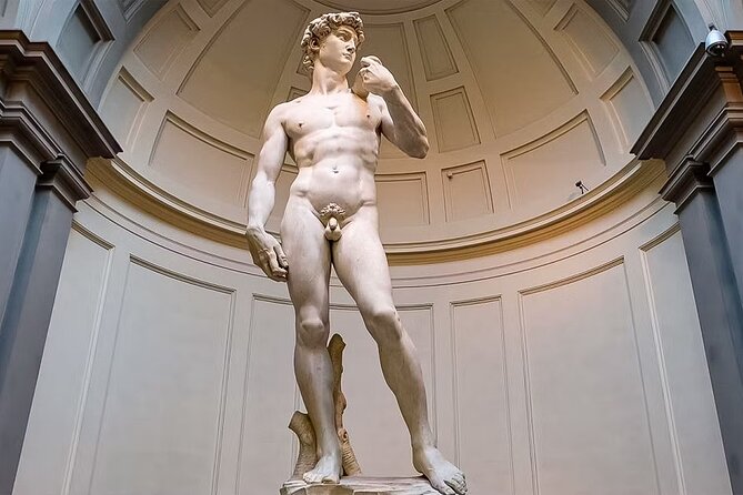 Accademia Gallery Reserved Entry Tickets Experience - Key highlights you’ll care about