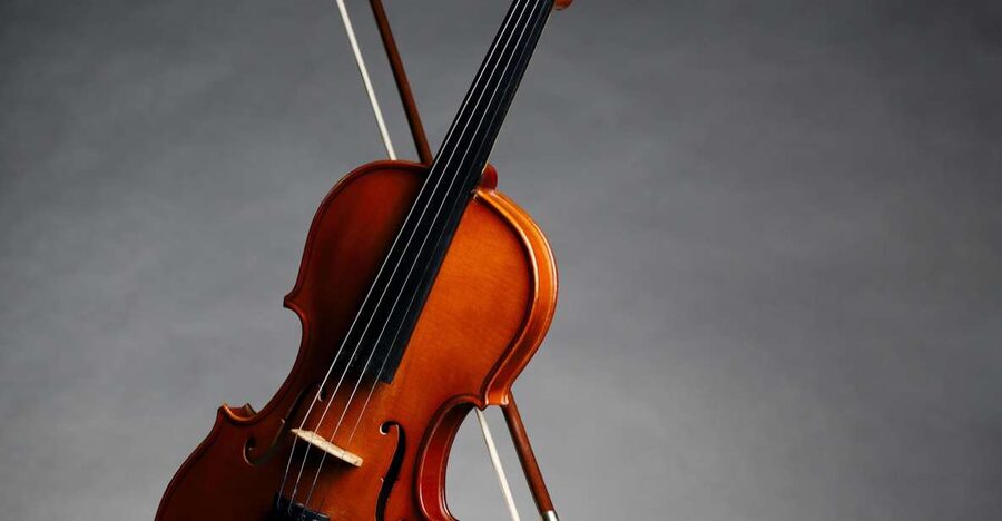 Afternoon Access to Accademia Gallery: David & Stradivarius - Accademia Gallery Highlights in One Route: David Plus Music History