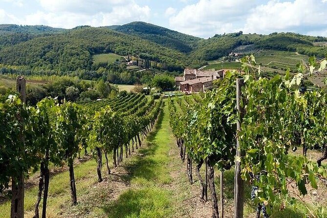 All In One San Gimignano Pisa and Siena Tour from Florence - Price and Value: Is $211.72 a Smart Trade?