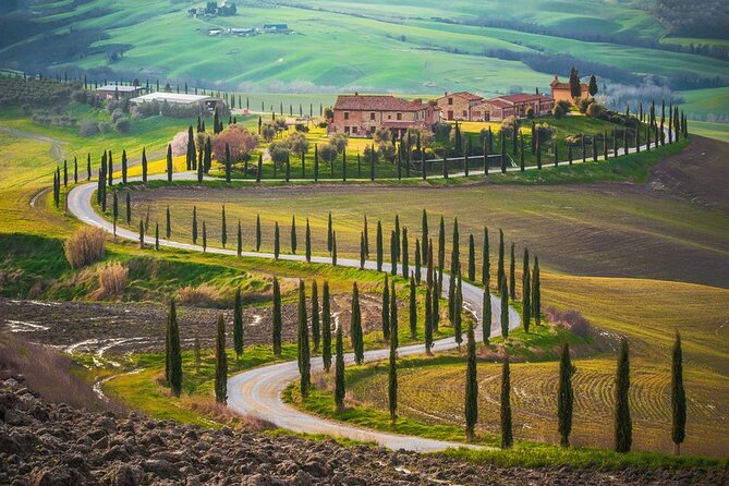 All Tuscany Private Siena San Gimignano & Chianti Livorno Shore Excursion - Price and value: is $463.14 a fair deal?