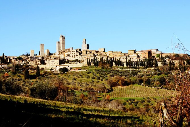 Authentic Tuscan Cooking Class & Winery Tour in San Gimignano - Winery and farm tour first: what the property adds to the lesson