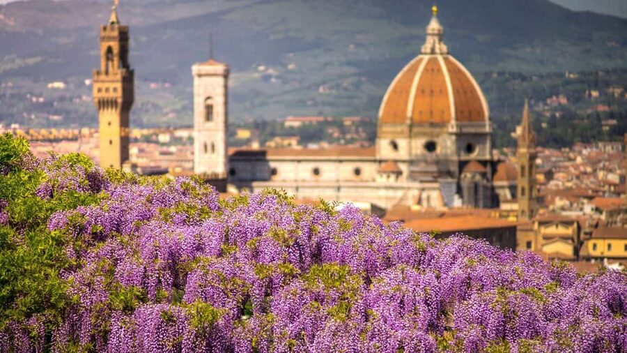 Best of Florence: Private Walking Tour with a Local - What’s Included (and What You’ll Want to Plan Yourself)