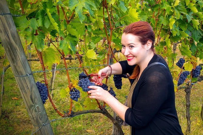 Brunello and Nobile, Wine Lover Tour Montalcino and Montepulciano - Price and Value: What $938 Per Group Actually Buys