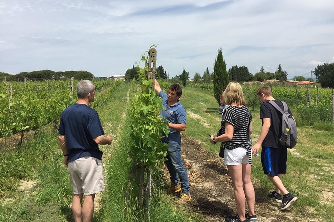 Brunello di Montalcino, small biodynamic wineries - Boutique Biodynamic Wineries: Two Tastings, DOCG Plus DOC