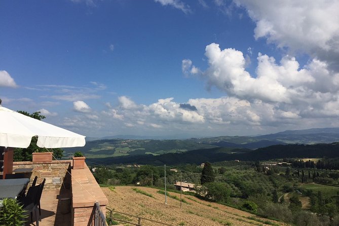 Brunello di Montalcino, small biodynamic wineries - Crossing Chianti Toward Siena: A Scenic Warm-Up Before Wine