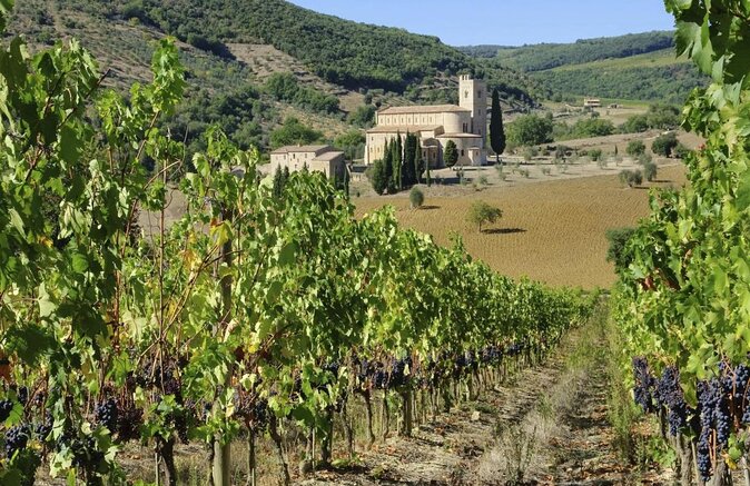 Brunello E-Bike Tour - Key Highlights Worth Planning For