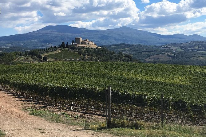 Brunello E-Bike Tour - What You’ll See Riding Past Castelnuovo dellAbate