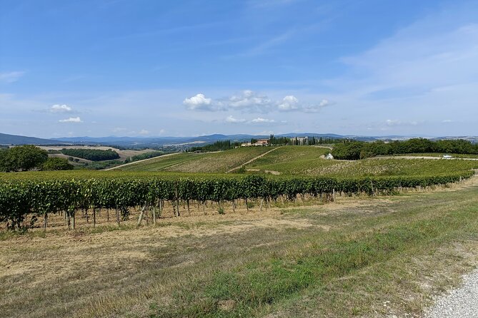 Brunello E-Bike Tour - The E-Bike and Comfort Setup You Don’t Have to Think About