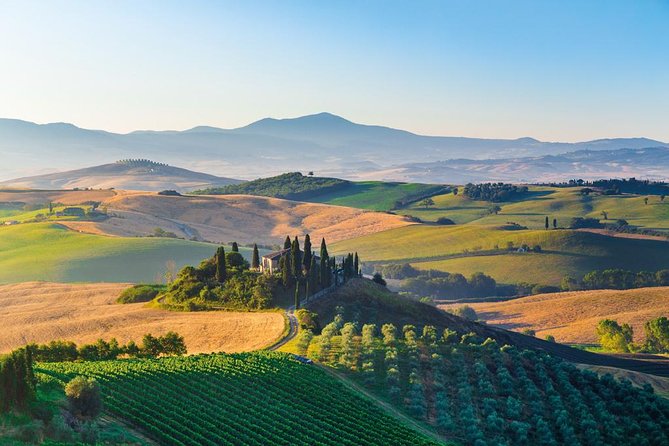 Brunello Wine Tasting from San Gimignano - Chianti + Brunello tastings: how the wine portion really works
