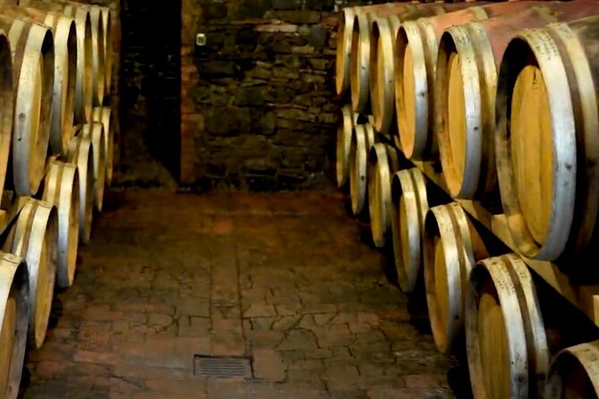 Brunello Wine Tasting from San Gimignano - Snacks and no lunch: plan your hunger like a pro