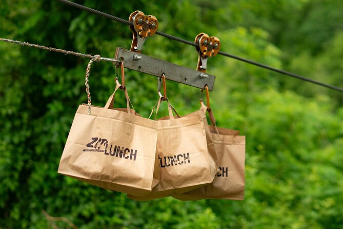 Canyon Zip Line - Free parking and a short walk: logistics that don’t steal your energy