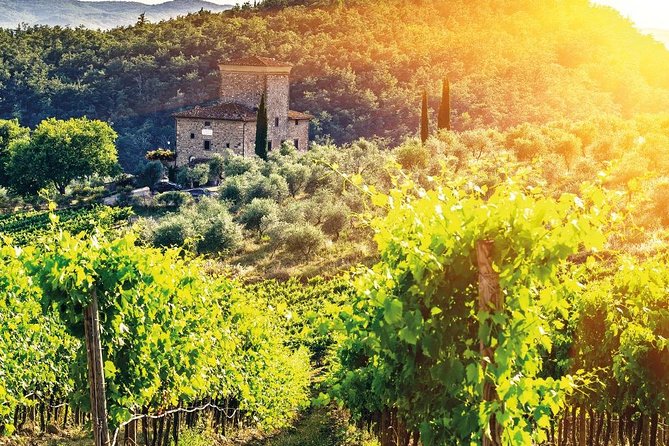 Castles & Chianti Wine Experience– Small Group from San Gimignano - Stop 1 at Fattoria Lornano: tasting with context