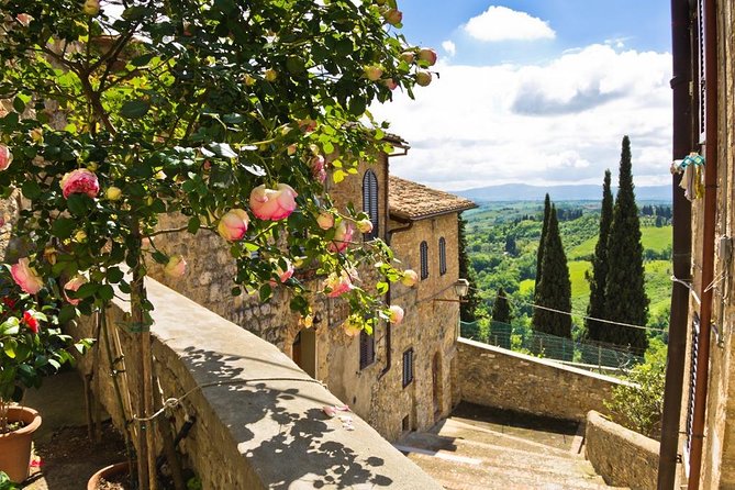 Castles & Chianti Wine Experience– Small Group from San Gimignano - Castellina in Chianti: the stroll-and-photos interlude