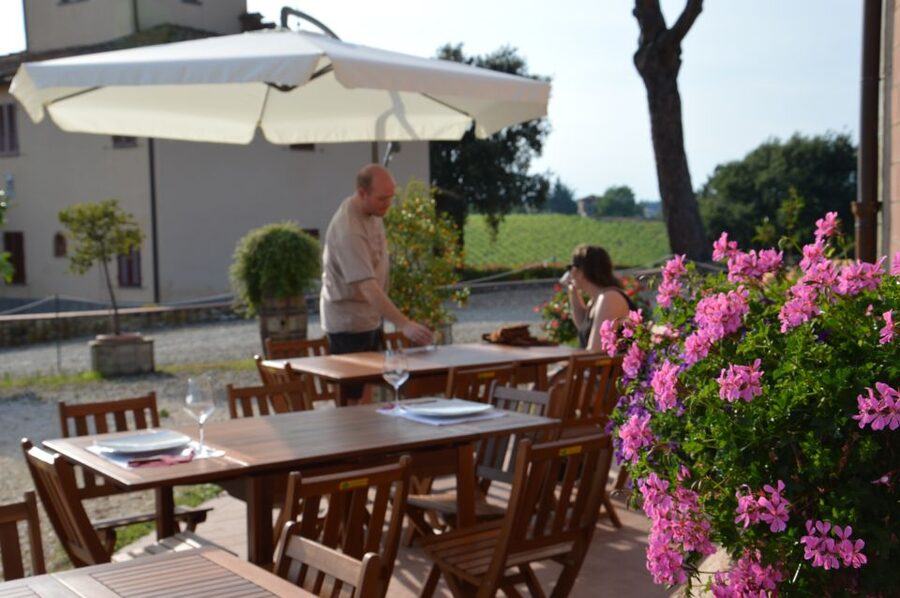 Chianti: 4 Wines +1 Oil Guided Tasting & Tour - Tasting 4 wines in a clear, Chianti-focused sequence