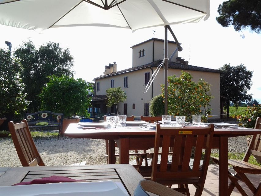 Chianti: 4 Wines +1 Oil Guided Tasting & Tour - Extra virgin olive oil: the tasting that many people underrate