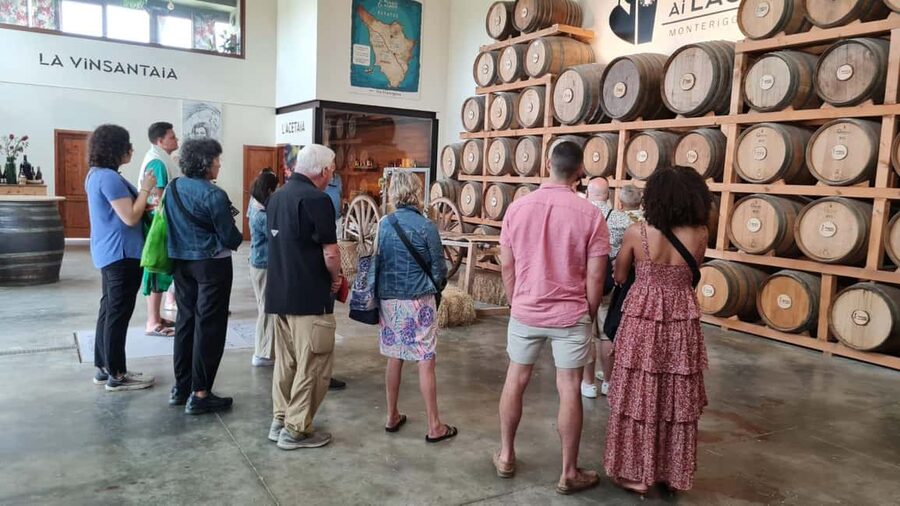 Chianti and Castles Tour From San Gimignano - Key highlights that matter in real life