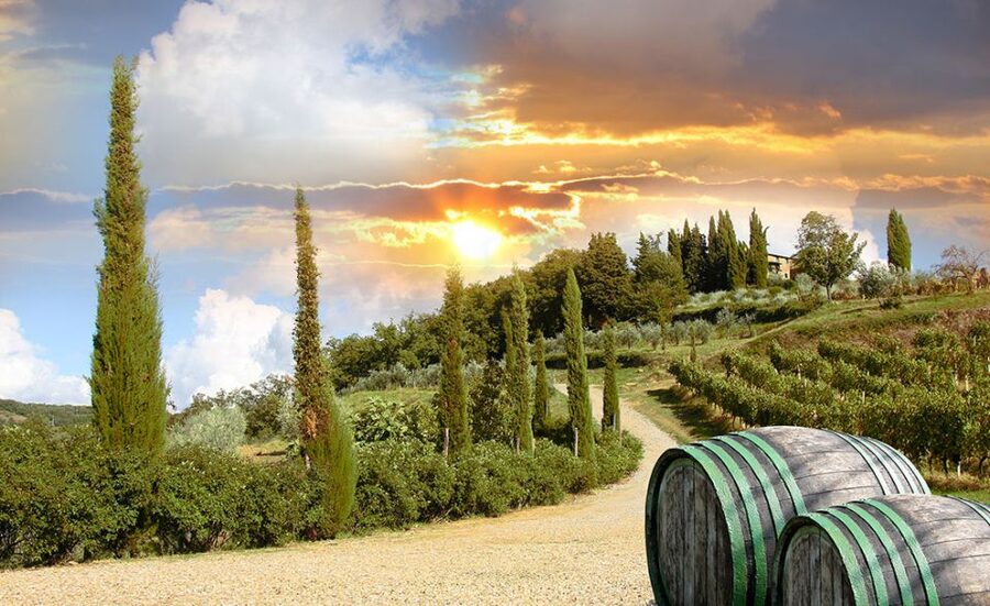 Chianti and Castles Tour From San Gimignano - Practical expectations before you book