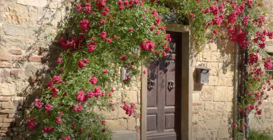 Chianti and Castles Tour From San Gimignano - Monteriggioni: castle walls, short time, and photo-first pacing