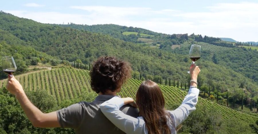Chianti and Castles Tour From San Gimignano - Getting around in the minivan: comfort vs. time on the road