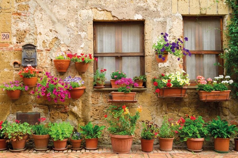 Chianti and Castles Tour From San Gimignano - Guides on board: what I’d watch for (especially language)