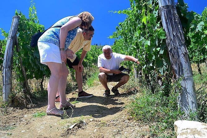 Chianti Classico and Super Tuscan 3 Winery Tour - Key reasons this 3-winery day works