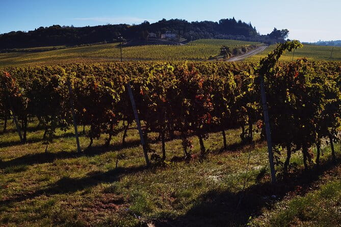 Chianti Classico E-bike Tour - Badia a Passignano: The Uphill Payoff at an Ancient Monastery