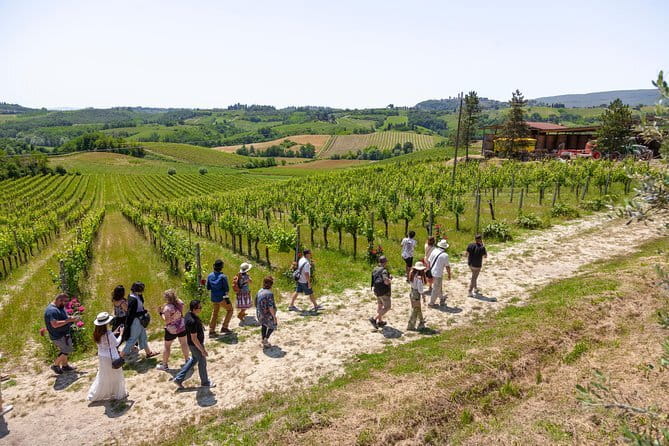 Chianti Classico E-bike Tour - Price and Value: Why $564.16 Can Actually Make Sense