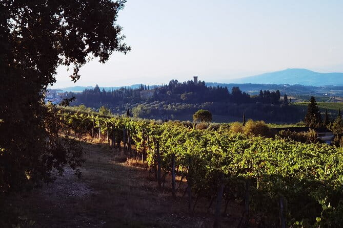 Chianti Classico E-bike Tour - Who Should Book This Tour (and Who Might Skip)