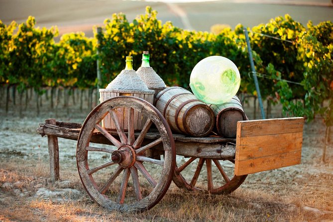 Chianti Classico, Montalcino, Montepulciano by minivan: Wine Tastings & Lunch - Montalcino farm lunch-tasting: where the day gets serious
