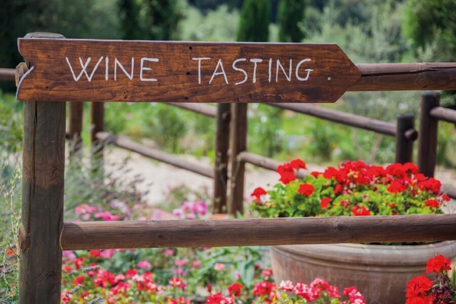 Chianti Countryside Full-Day Tour by Vintage Fiat 500 - Who this tour suits best (and who should skip it)