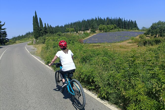 Chianti e-bike tour from Florence with wine tasting - Tuscan light lunch: good value when it matches the rhythm of the day