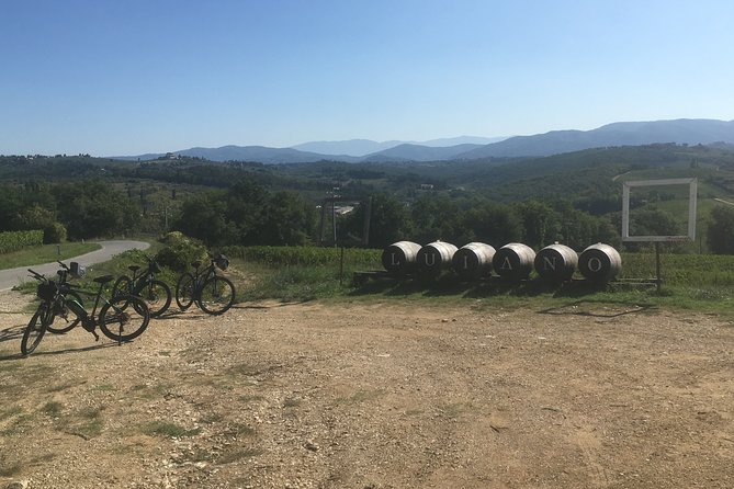 Chianti e-bike tour from Florence with wine tasting - San Gimignano at the horizon and Val d’Elsa views on the way to Castellina