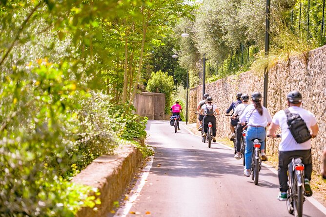 Chianti Hills E-Bike Tour with Tuscan Lunch & Two Wine Tastings - Two tastings, not one: what CiaoFoodies Hub adds back in Florence