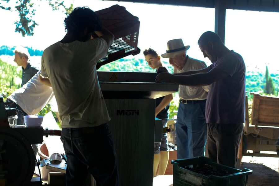 Chianti Organic wine tasting - Key highlights worth showing up for