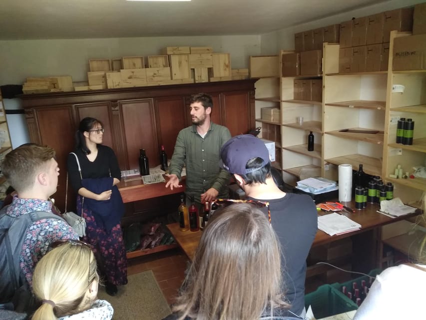 Chianti Organic wine tasting - The tasting lineup: 4 organic wines plus olive oil