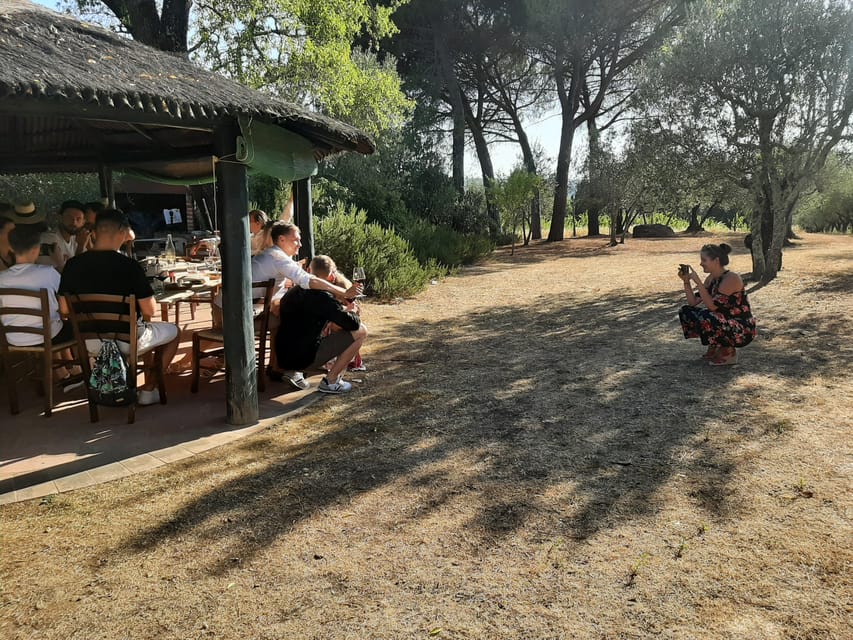Chianti Organic wine tasting - Food pairing at the farm: sheep cheese, cold cuts, olives, seasonal produce