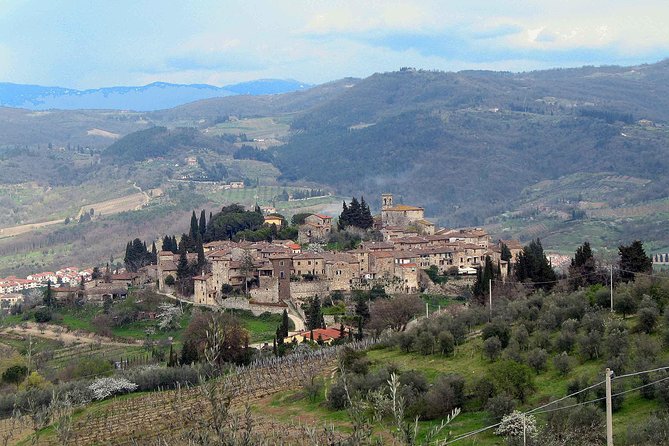 Chianti Region and San Gimignano including wine tasting and light lunch - Why San Gimignano and Chianti fit together so well