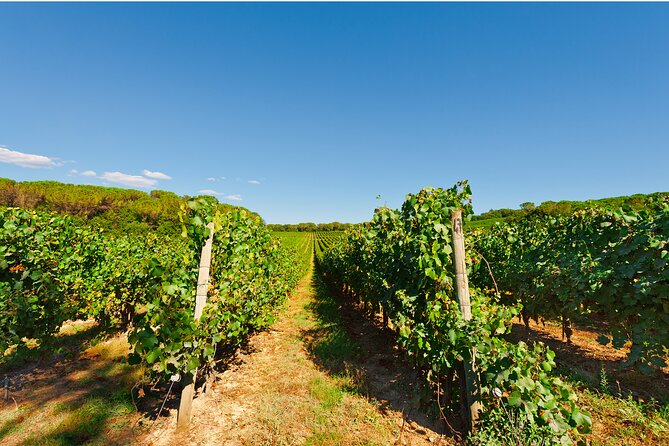 Chianti Region and San Gimignano including wine tasting and light lunch - Greve in Chianti: the gateway town stop that’s worth your hour