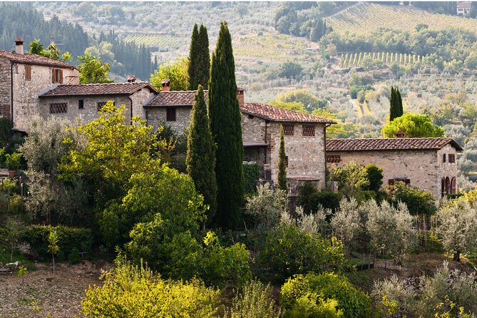 Chianti Region and San Gimignano including wine tasting and light lunch - Wine tasting: how to get more from the pour